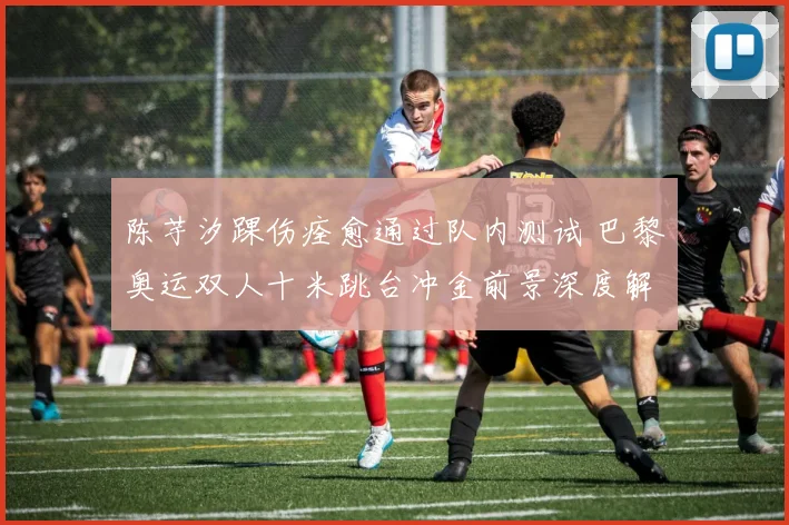 陈芋汐踝伤痊愈通过队内测试 巴黎奥运双人十米跳台冲金前景深度解析