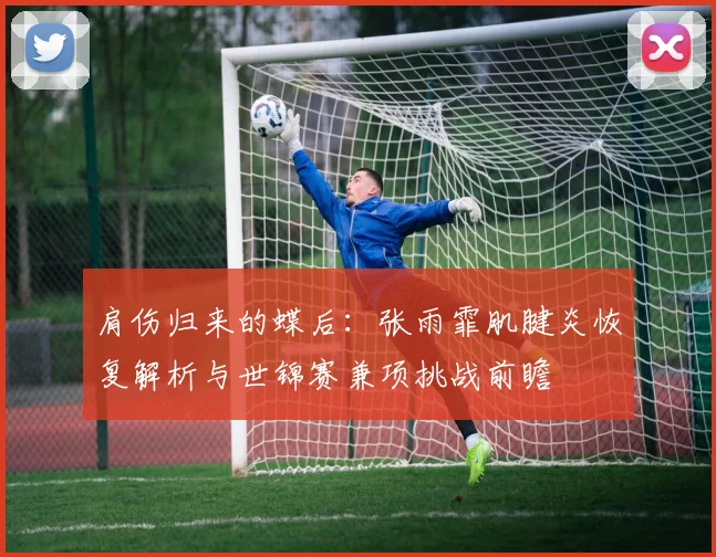 肩伤归来的蝶后：张雨霏肌腱炎恢复解析与世锦赛兼项挑战前瞻